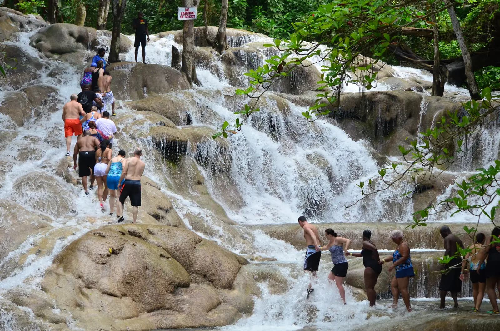 Guests climbing the cascading pools of Dunn's River Falls in Ocho Rios