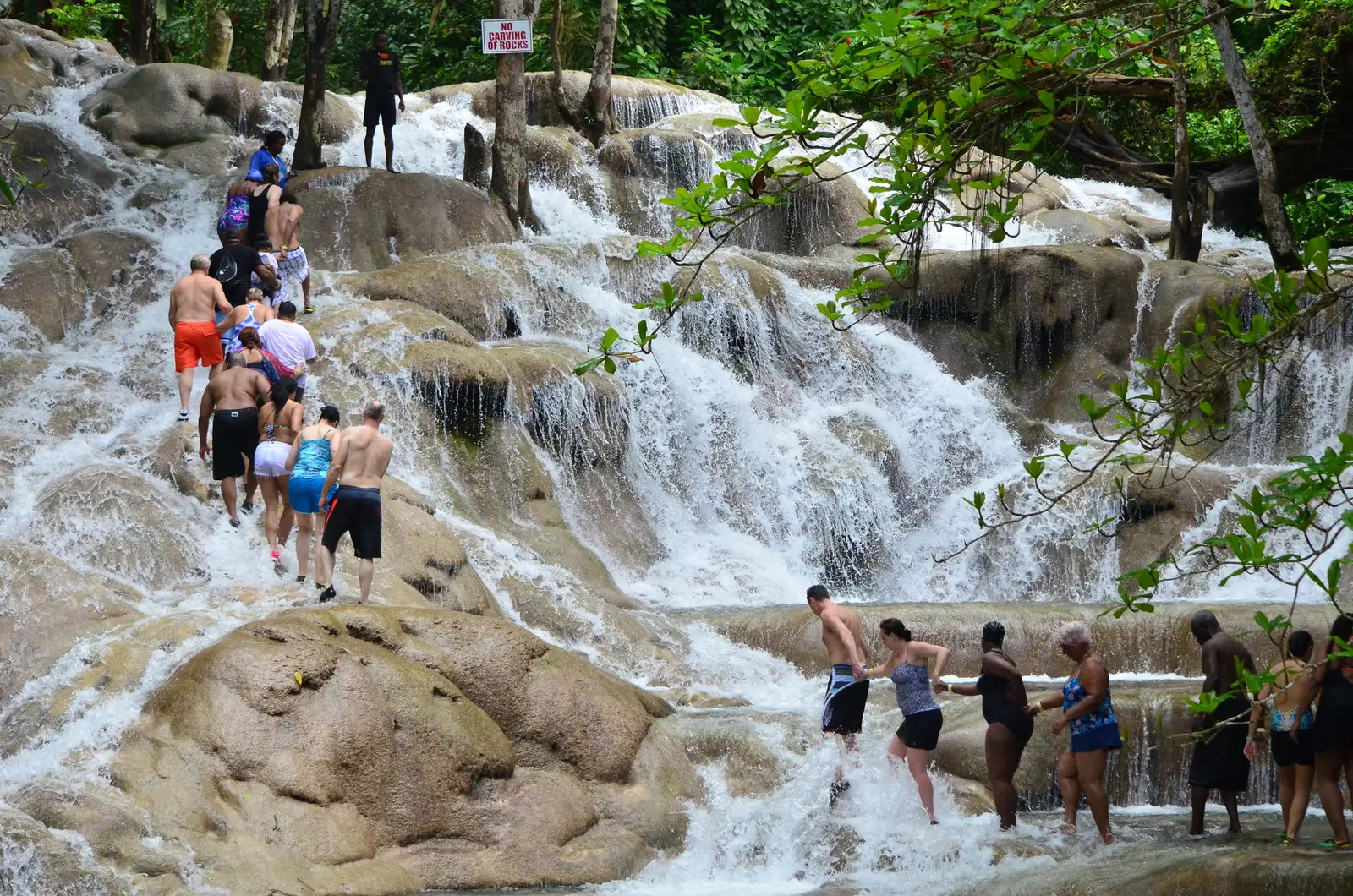 Genius Reggae Jamaica Tours: real guest and excursion photography