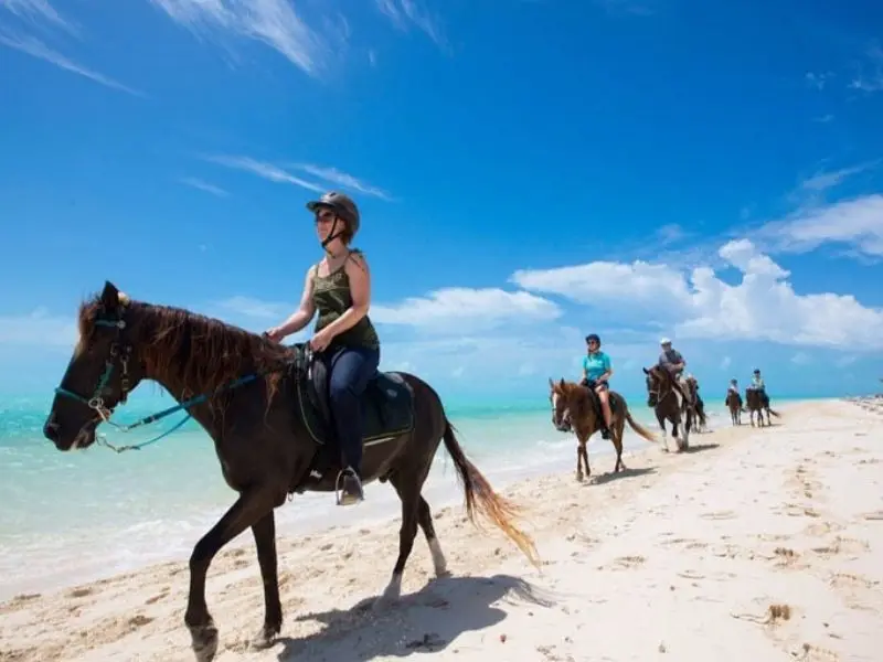 Genius Reggae Jamaica Tours: real guest and excursion photography