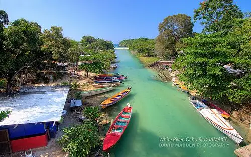 Genius Reggae Jamaica Tours: real guest and excursion photography