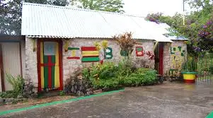 Genius Reggae Jamaica Tours: real guest and excursion photography