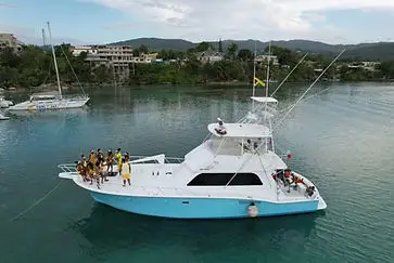 Genius Reggae Jamaica Tours: real guest and excursion photography