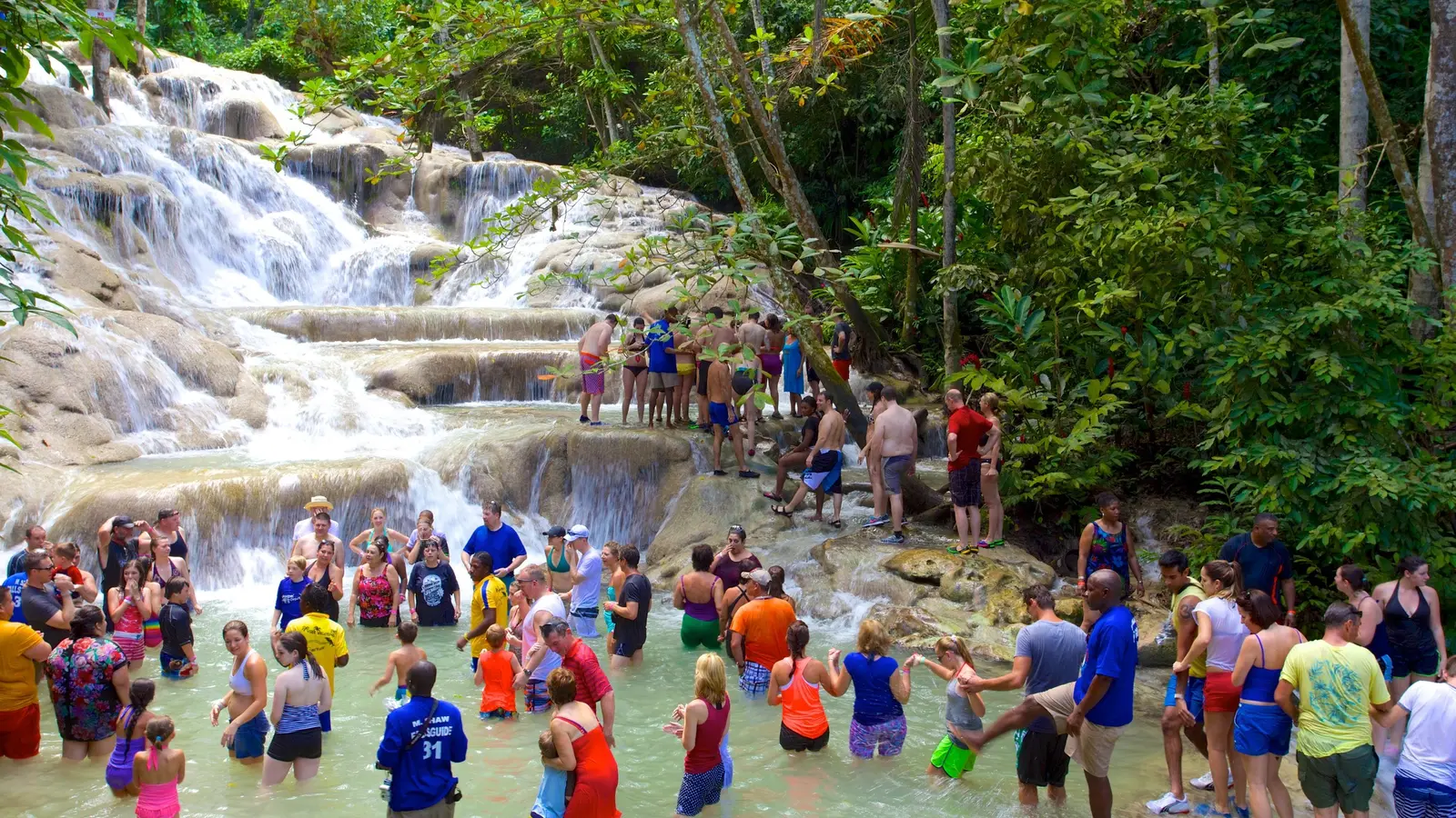 Genius Reggae Jamaica Tours: real guest and excursion photography