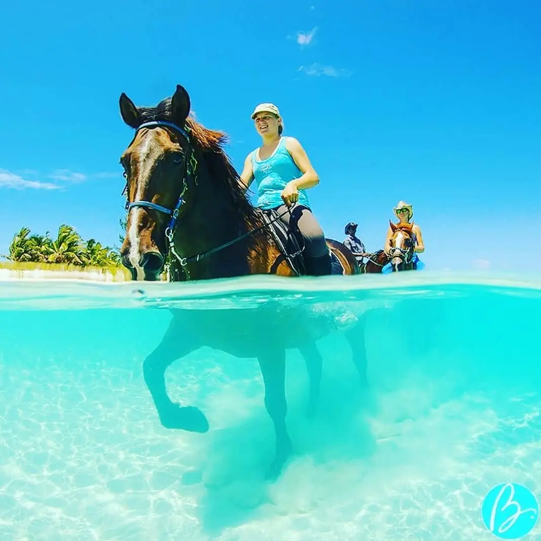 Genius Reggae Jamaica Tours: real guest and excursion photography