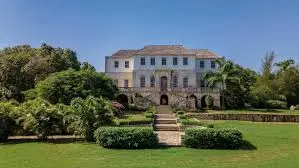 Genius Reggae Jamaica Tours: real guest and excursion photography