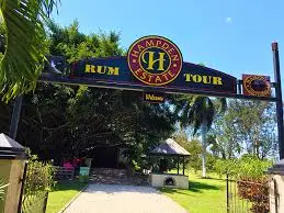 Genius Reggae Jamaica Tours: real guest and excursion photography