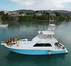 Genius Reggae Jamaica Tours: real guest and excursion photography